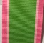 Pink And Green Stripe