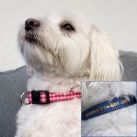 Personalized Dogs Collars Name and Phone Number