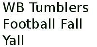 Wb Tumblers Football Fall Yall