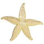 Flat Starfish