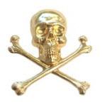 Gold Skull And Bones