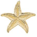 Small Starfish