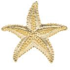 Puffy Starfish