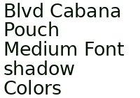 Blvd Cabana Pouch Medium Font Shadow Colors 