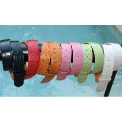 Patty Anderson Belt Colors