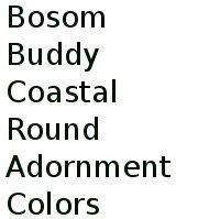 Bosom Buddy Coastal Round Adornment Colors