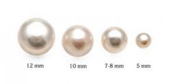 Pearl Girls Pearl Stud Size 