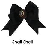 Snail Shell