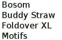 Bosom Buddy Straw Foldover Xl Motifs