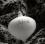 personalized+opalescent+onion+ornament