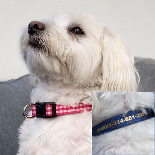 Personalized Dogs Collars Name and Phone Number  Animals & Pet Supplies > Pet Supplies > Dog Supplies > Dog Collars & Harnesses